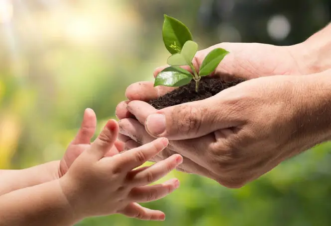 ecologico zero emissioni ecologico zero emissioni